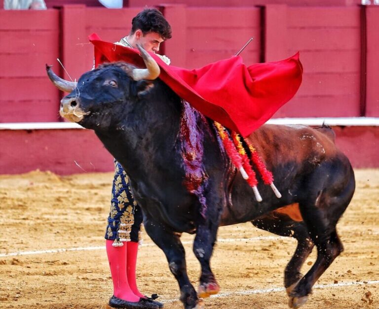 Alejandro Chicarro confirme sa présence à El Espinar