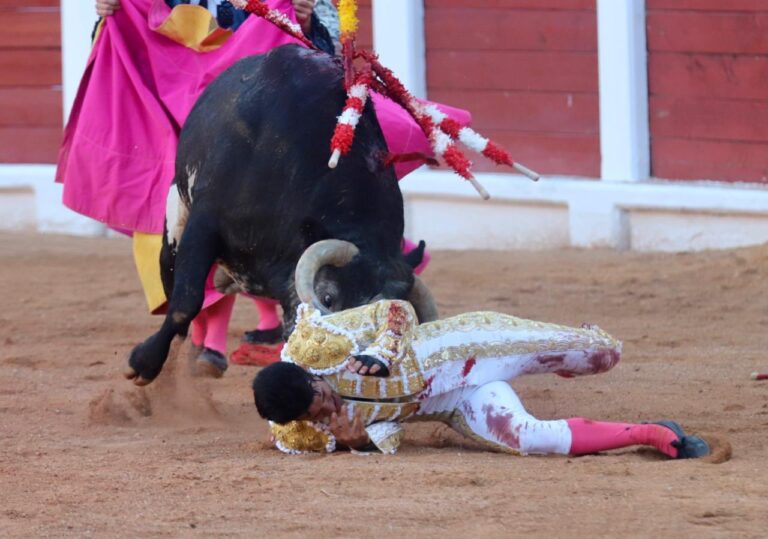 Alejandro Talavante a une huitième côte fracturée