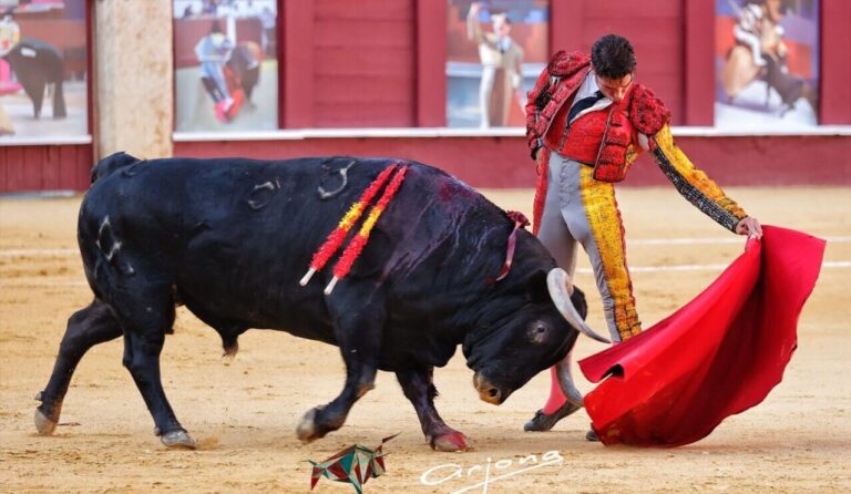 Cayetano envisage de réapparaître dans la Corrida Goyesca à Antequera