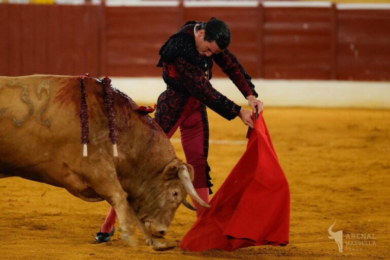 Corrida de Juan Ortega, deux oreilles dans la salle ; Talavante élimine le troisième de la soirée (Direct : Marbella)