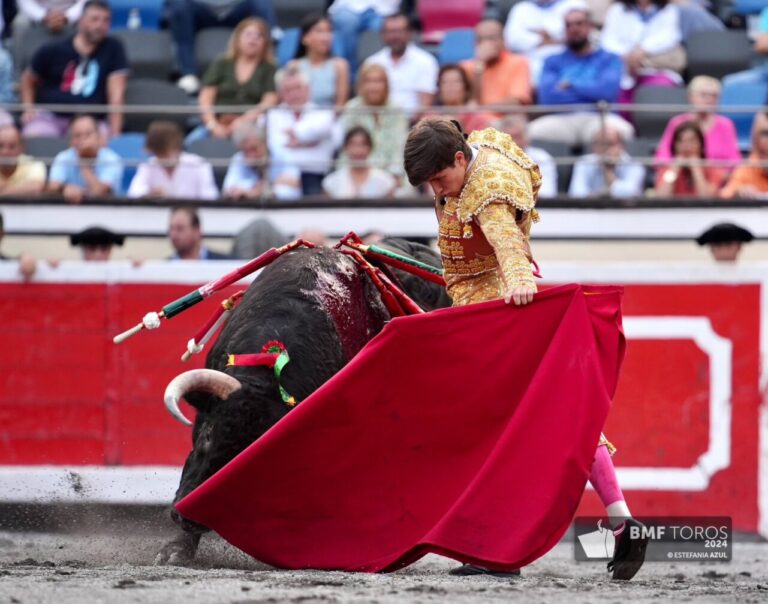 Il est originaire d'Aragon et s'appelle Aarón Palacio.