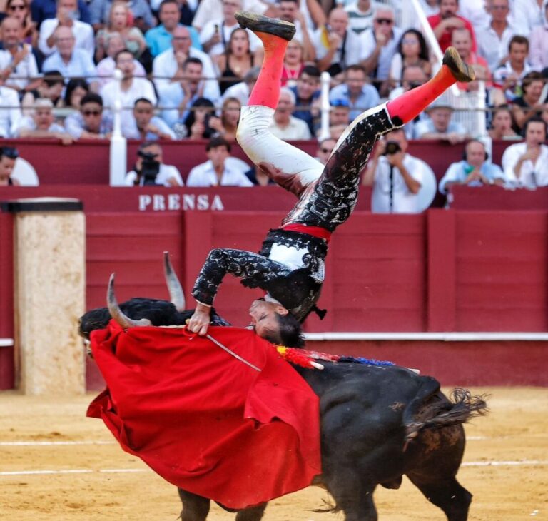 Jiménez Fortes, saut périlleux spectaculaire avant le troisième: « J'ai un trou dans la tête et puis je ne sais pas ce que je vais porter, mais j'ai mal au ravisseur »