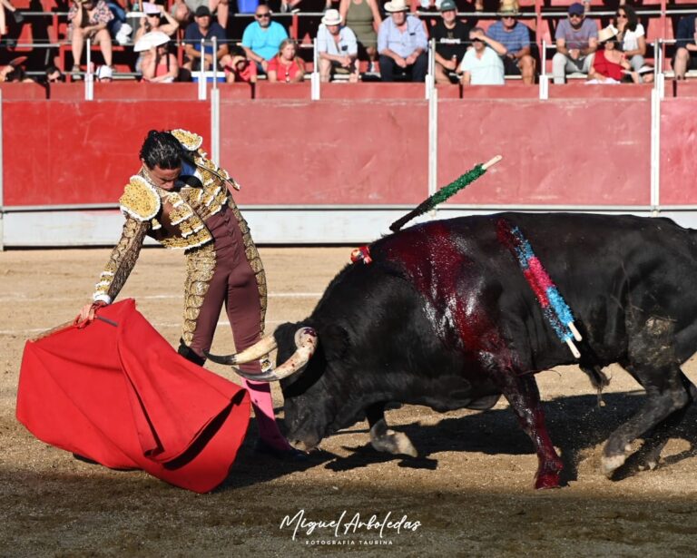 Joaquín Galdós, la seule oreille devant un taureau revenant de Campos Peña à Almorox