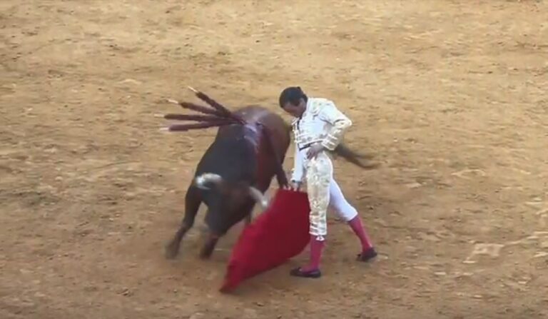 Juan Ortega et un muletazo imprévisible