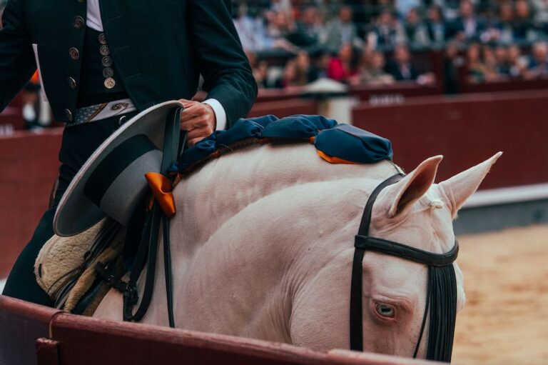 L'agenda culturel qui accompagnera les deux corridas du mois d'août à Las Ventas