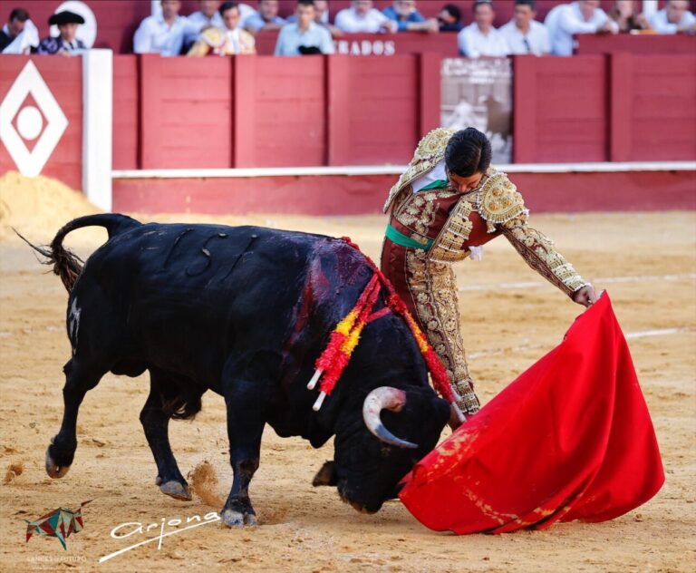 L'été de Morante | mundotoro.com
