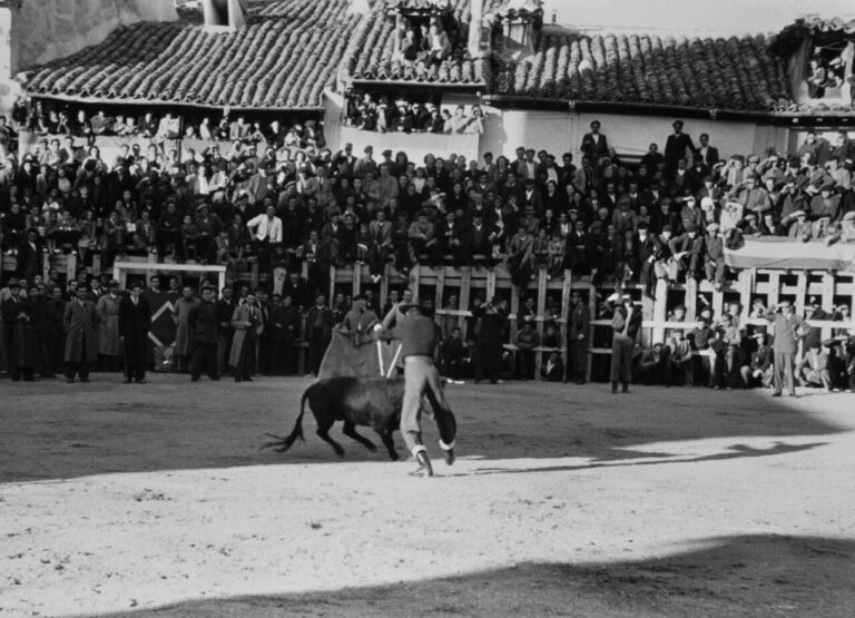 La Mairie rendra hommage à Manolete pendant les fêtes avec l'exposition « Manolete et Arganda del Rey : 80 ans d'un après-midi pour l'histoire »
