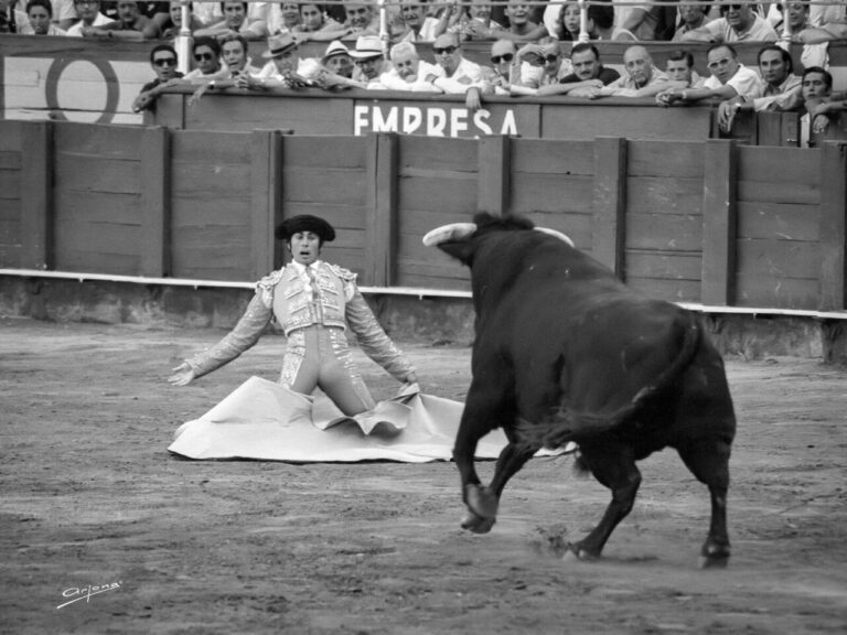 La Malagueta accueillera l'exposition 'Paquirri, toujours en mémoire'