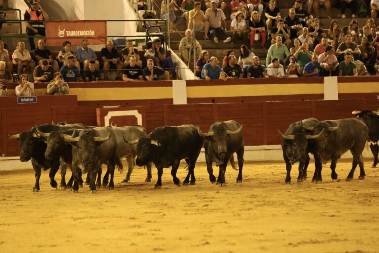 Le spectaculaire Adolfos a atterri hier soir dans l'arène Daimiel