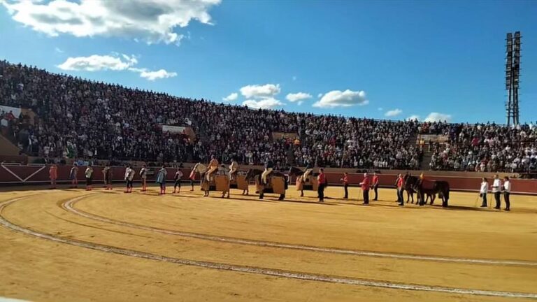 Móstoles aura à nouveau des taureaux en septembre avec une « bannière »
