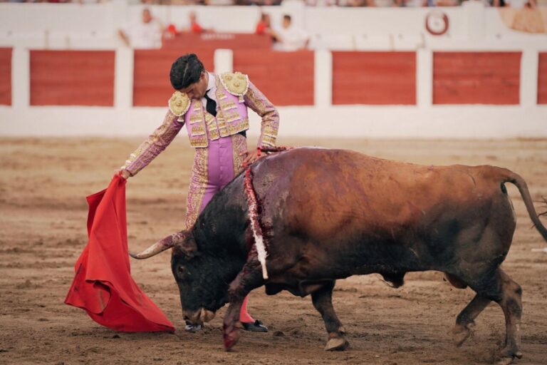 Pablo Aguado à Linares : une des tâches de sa saison