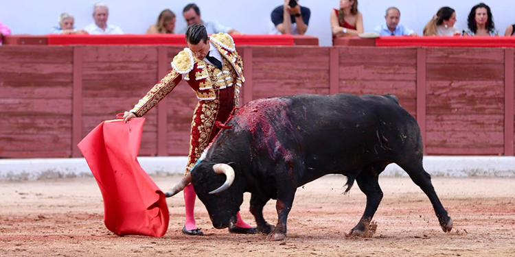 Un bon travail de Manzanares et la fierté de Ginés, arguments à Colmenar Viejo