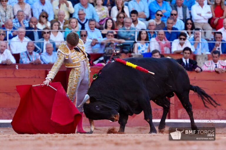 Borja Jiménez, avant son doublé à Salamanque: « Maître Manzanares a eu un geste de taurin »