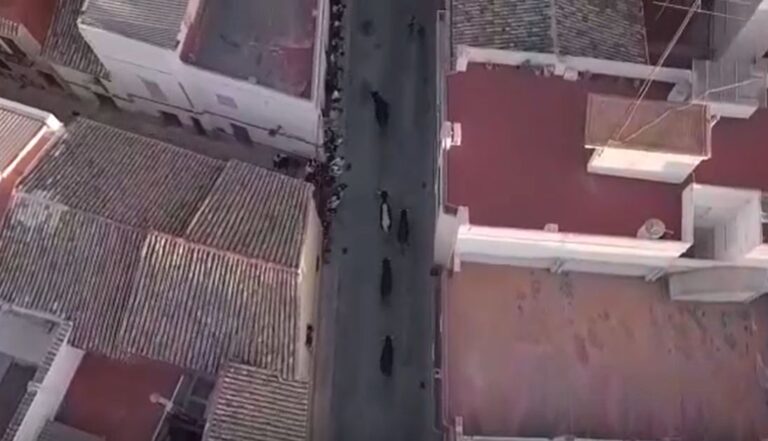 Algemesí : au rythme d'un taureau chaque jour depuis la course des taureaux
