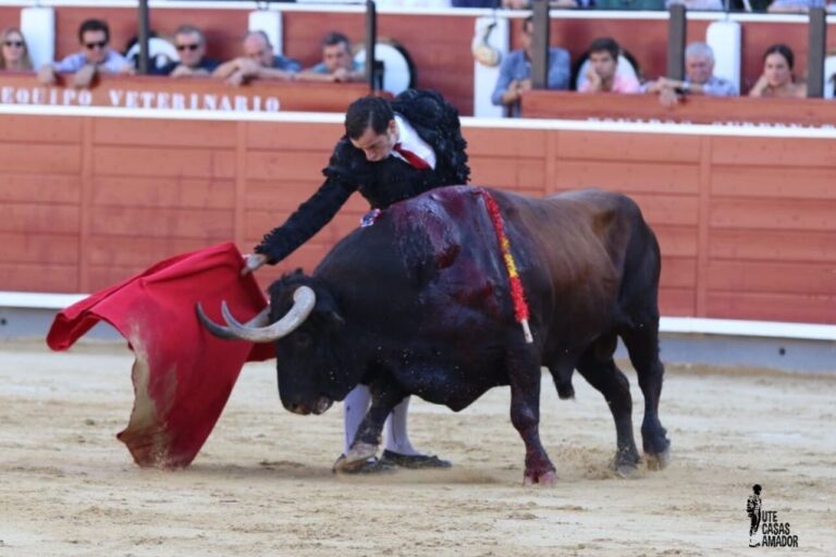 Andrés Palacios, « encornure interne à la cuisse droite » (rapport médical)