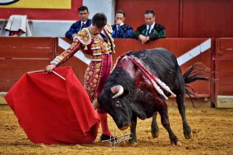 Castella, oreille devant la chambre de Salvador Domecq (Aperçu : Ejea de los Caballeros)