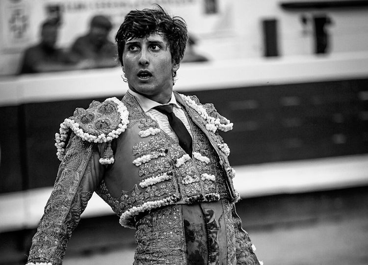 Coquille d'Or à « Tardes de Soledad »: L'étreinte entre le cinéma et les taureaux et la colère monumentale d'Urtasun