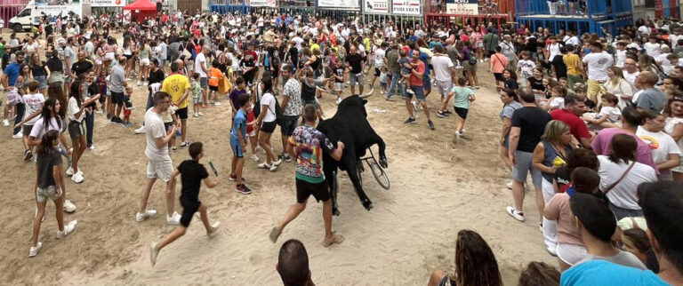 Course de taureaux pour enfants dans la capitale valencienne