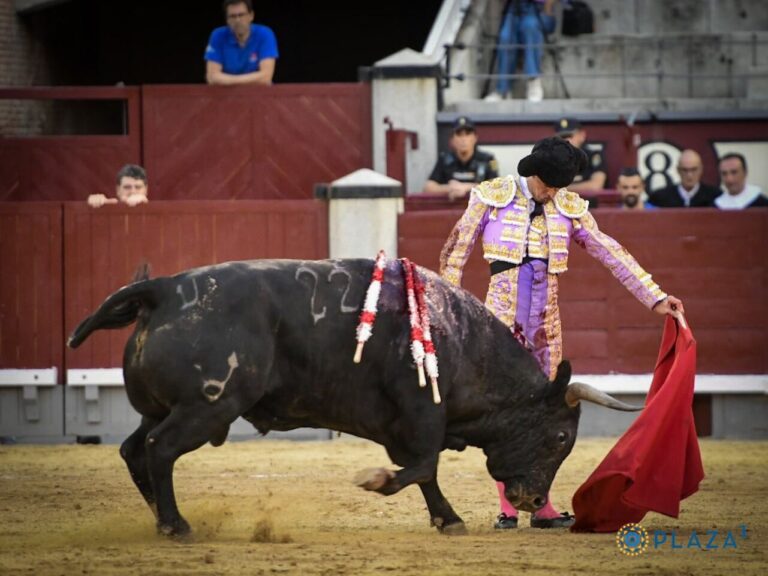 Damián Castaño gagne et perd la grande porte à Las Ventas