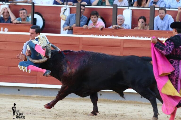 David Galván, après l'accident d'Albacete : les blessures internes à l'abdomen sont exclues