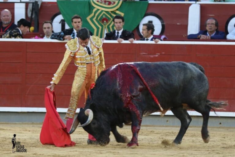 Emilio de Justo et 'Lagartijo' : une des tâches de la saison