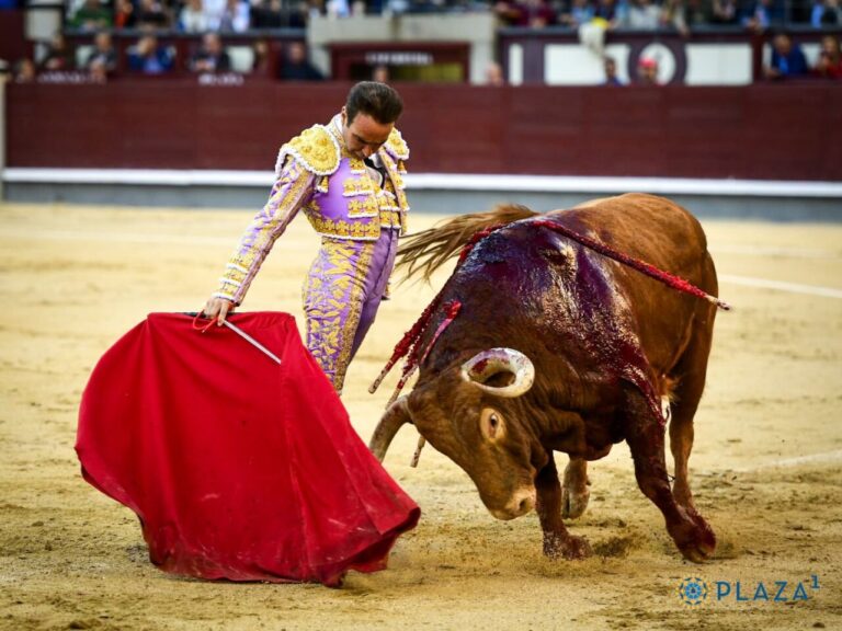 Enrique Ponce et 'Requiebro', de Juan Pedro Domecq : la dernière tâche du maestro Chiva à Las Ventas (Vidéo)