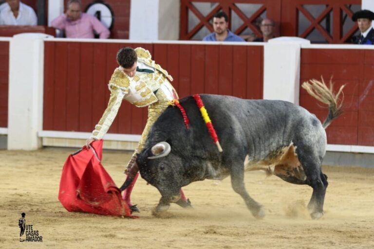 Fernando Adrián et La Quinta, les plus remarquables du Syndicat des Abonnés d'Albacete