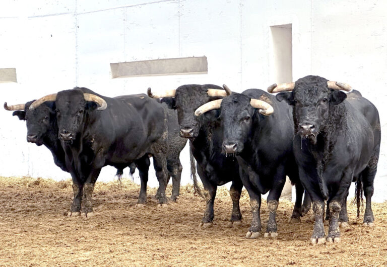 « Hierbabuena », de Los Espartales, clôture la foire de Murcie