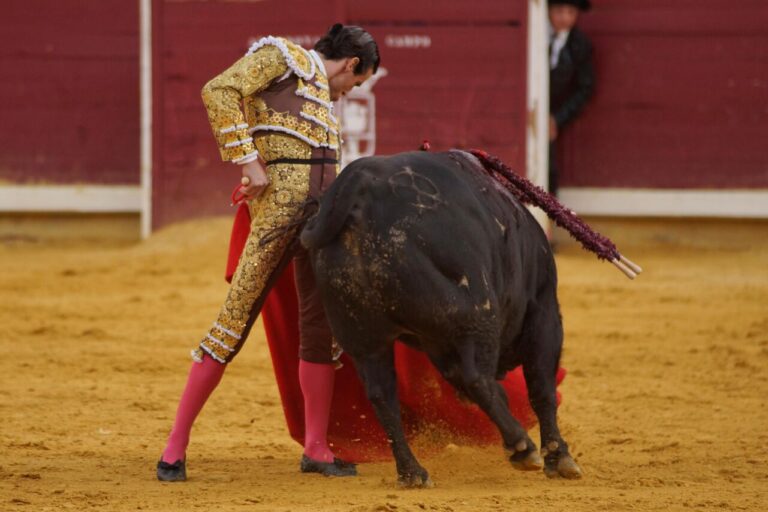 Juan Ortega à Almodovar. : quand il n'y a pas de cadres pour encadrer un tableau