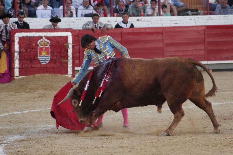 La tauromachie de Curro Díaz conquiert Bargas