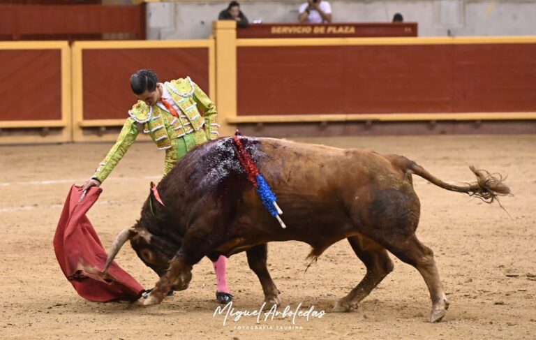 Oliva, Uceda Vargas et Bruno Aloi, oreille pour queue de cheval chez Moralzarzal