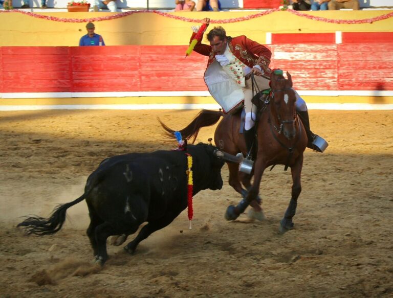 Paco Velasquez laisse encore une fois deux œuvres extrêmement importantes dans la corrida d'Amieira