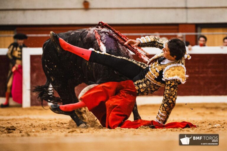 Roca Rey, absent à Zafra en raison d'une gêne au genou droit après son saut périlleux à Logroño