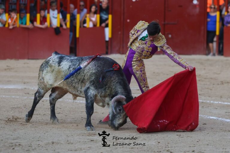 Sergio Rollón et Hugo Hernández, grande porte avec une bonne corrida de Torrenueva pour clôturer la Foire d'Arganda