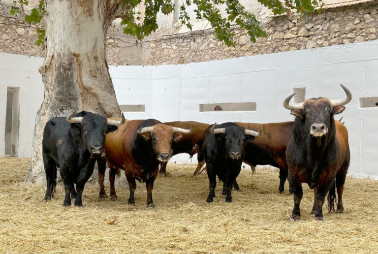Six de Luis Algarra pour la première de la foire de Murcie