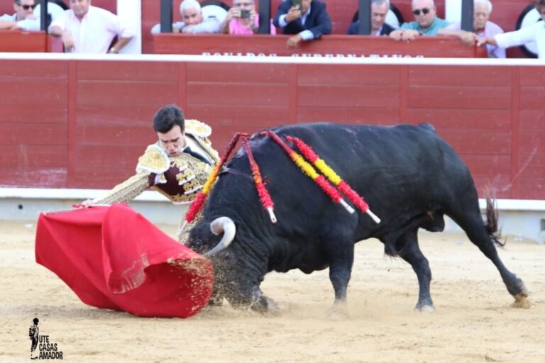 Tomás Rufo: « Une victoire à Albacete, c'est beaucoup, c'est l'une des meilleures foires de la saison et j'y vais pour qu'il se passe quelque chose d'important »
