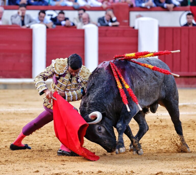 Une figure de la tauromachie | mundotoro.com