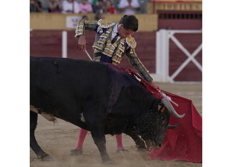 Villita, ajoute et continue : Grande porte à côté de Luis Pasero à Casarrubios del Monte
