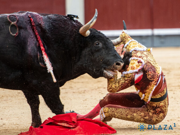 Dernières nouvelles de Roca Rey : entorse cervicale confirmée