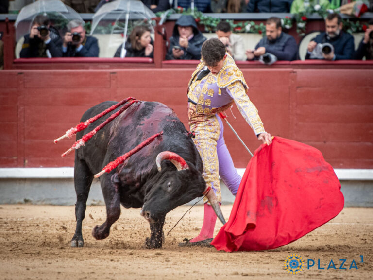 L'avenir de la tauromachie passe par Madrid : 19 présentations en 2024
