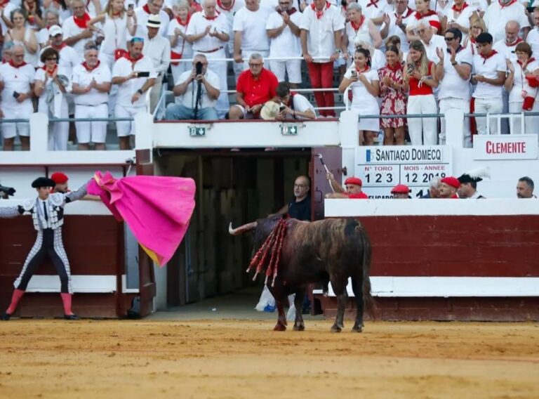 2024 : une saison de grâces en Espagne et en France