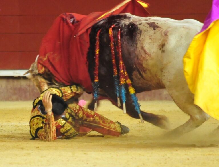 Alberto Donaire, opéré d'une péritonite après la grave blessure à Valence