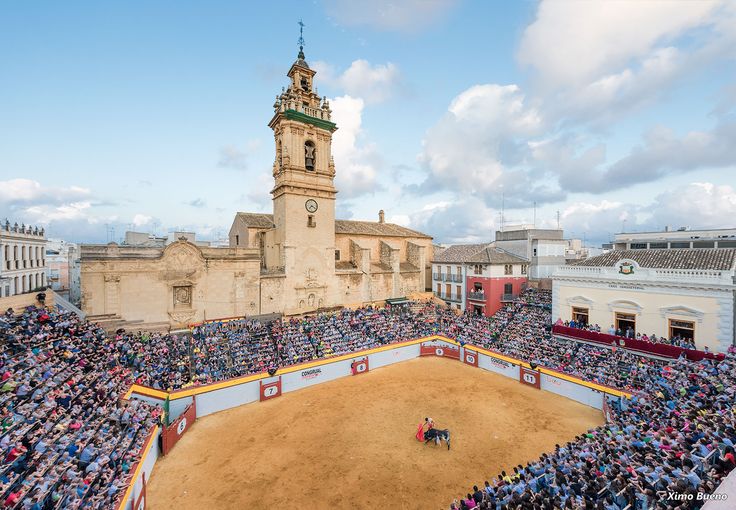 Alberto Fernández, président de la commission Algemesí : « Chaque année, de plus en plus de personnes assistent aux corridas. Nous avons eu six jours de « sans billets »