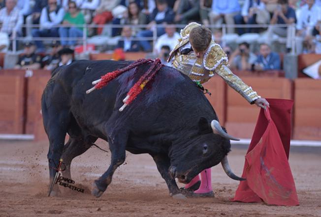 Borja Jiménez, meilleure tauromachie naturelle, et Ismael Martín, grands moments forts de Salamanque