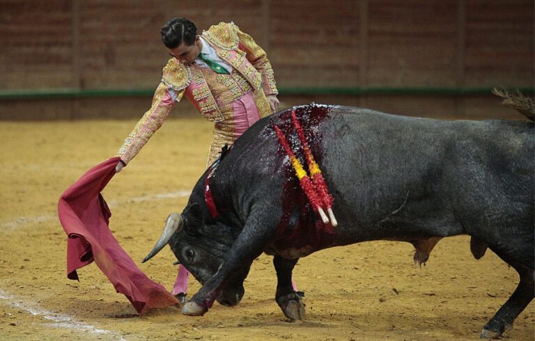 Bruno Aloi se démarque dans une finale marquée par la réception de Chicarro à Arnedo