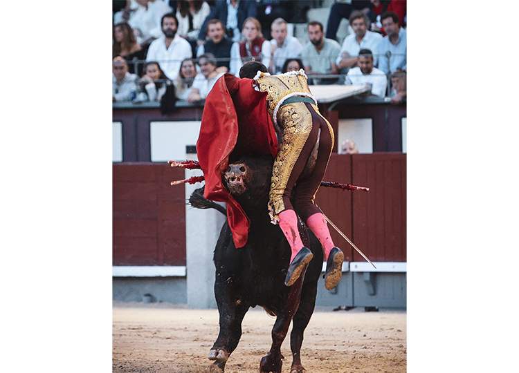 Fernando Adrián, « ménisque interne déchiré, entorse du ligament croisé antérieur et entorse collatérale médiale », après les deux matchs de Madrid