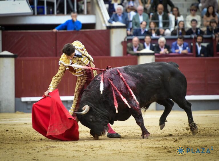Le travail de Roca Rey à Madrid (Vidéo)