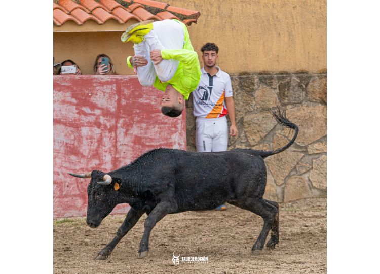 Les régleurs de la grande finale d'Alicante réchauffent leurs moteurs à Las Tiesas avant la compétition