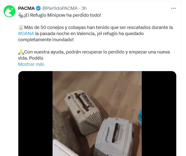 PACMA demande de l'aide au milieu de la catastrophe pour que 50 lapins puissent commencer une « nouvelle vie » après DANA