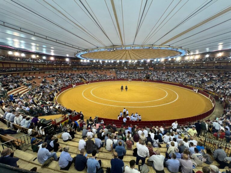 Retour sur le ring pour Antonio Ferrera avec l'intéressant, bien que docile, d'abord de Concha y Sierra (Direct: Zaragoza)